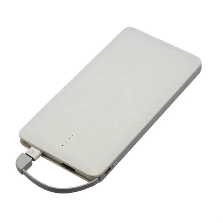 10000mah Leather Powerbank