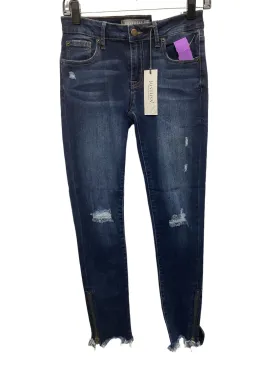 Blue Denim Jeans Skinny Clothes Mentor, Size 0