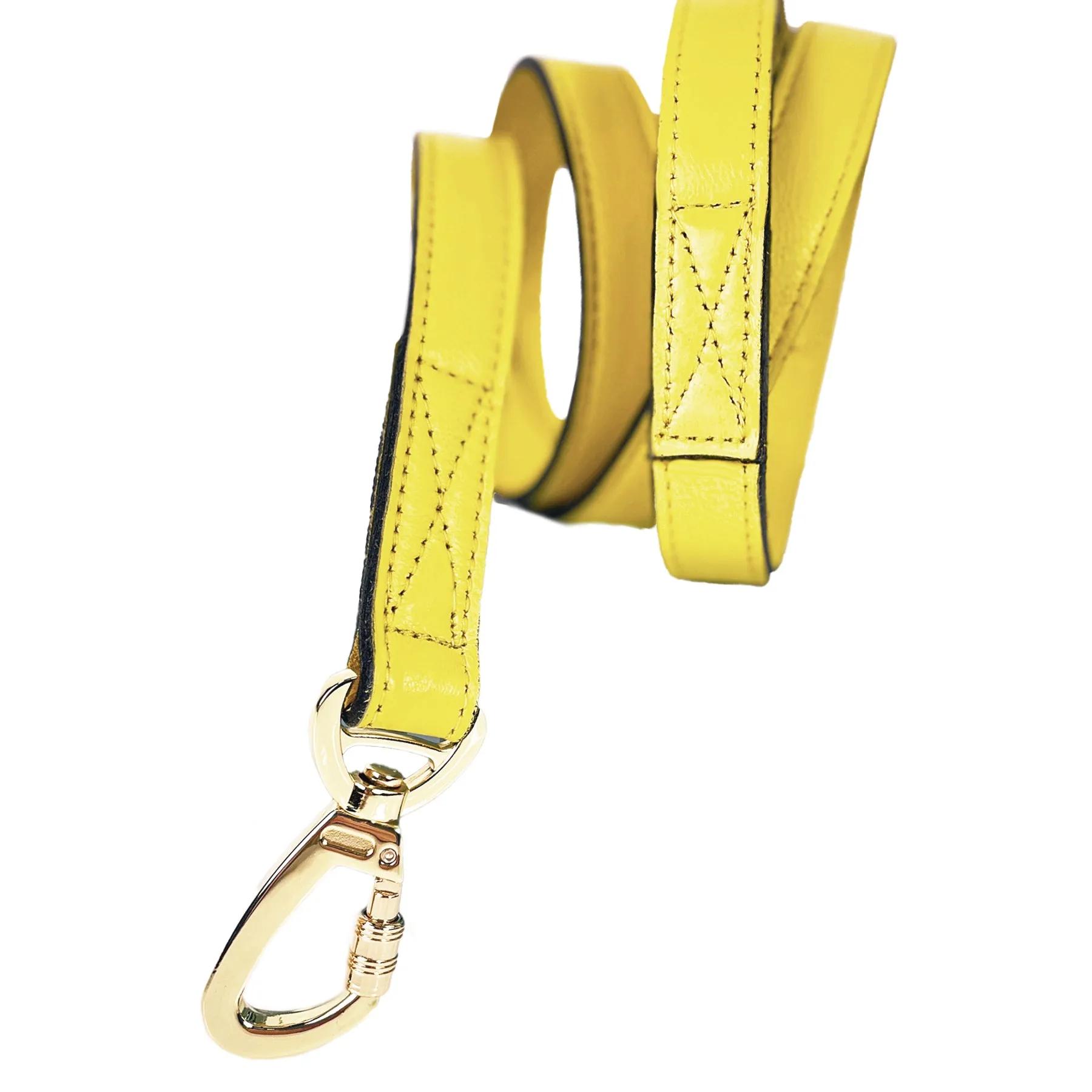 Daisy Dog Leash in Canary Yellow & Gold