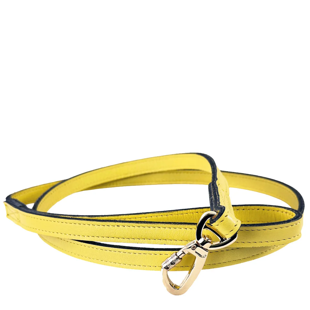 Daisy Dog Leash in Canary Yellow & Gold