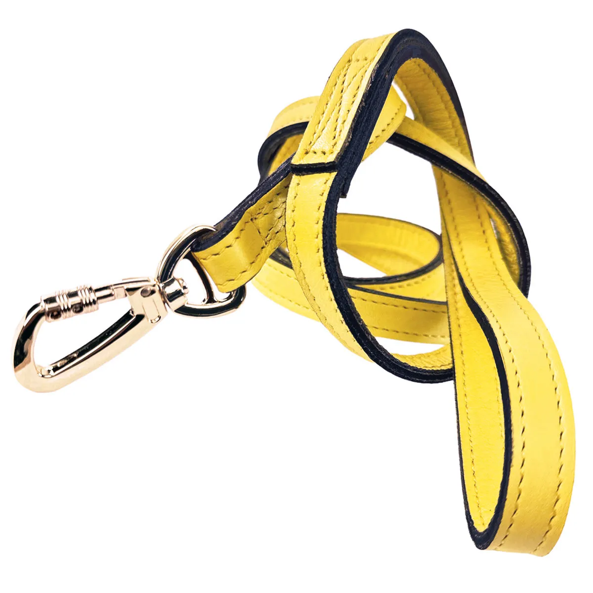 Daisy Dog Leash in Canary Yellow & Gold