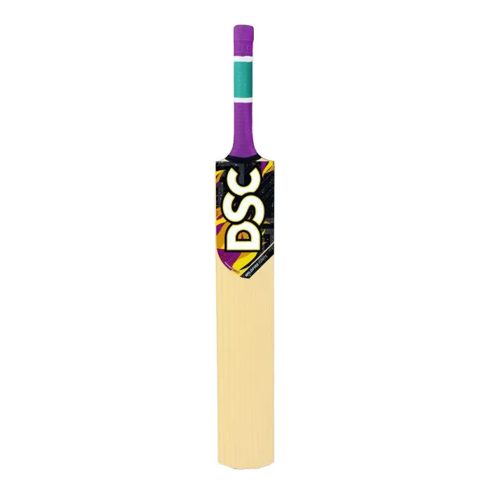 DSC Wildfire Ignite Cricket Bat