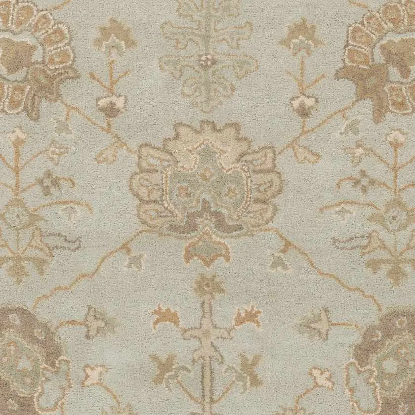 Kiahbert Traditional Area Rug