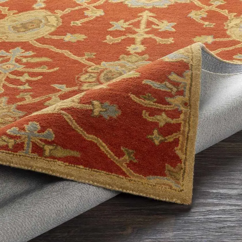 Kiahbert Traditional Area Rug